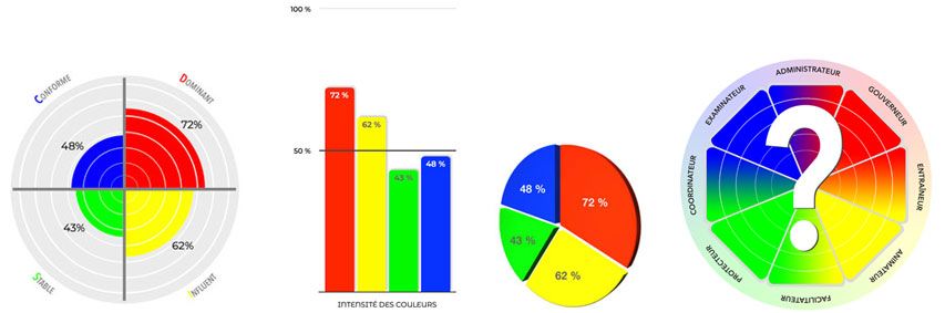 graphiques-profil-disc